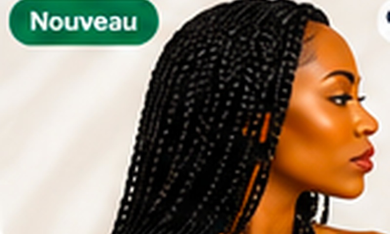 Perruque Braids Premium